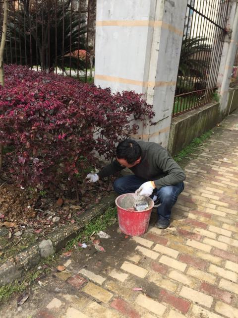 控制鼠害、预防疾。。。。。。，，，构建协调文明社区_拉斯维加斯3133cc