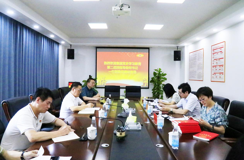 集团公司党史学习教育巡回指导组划分到各下层单位调研督导_拉斯维加斯3133cc