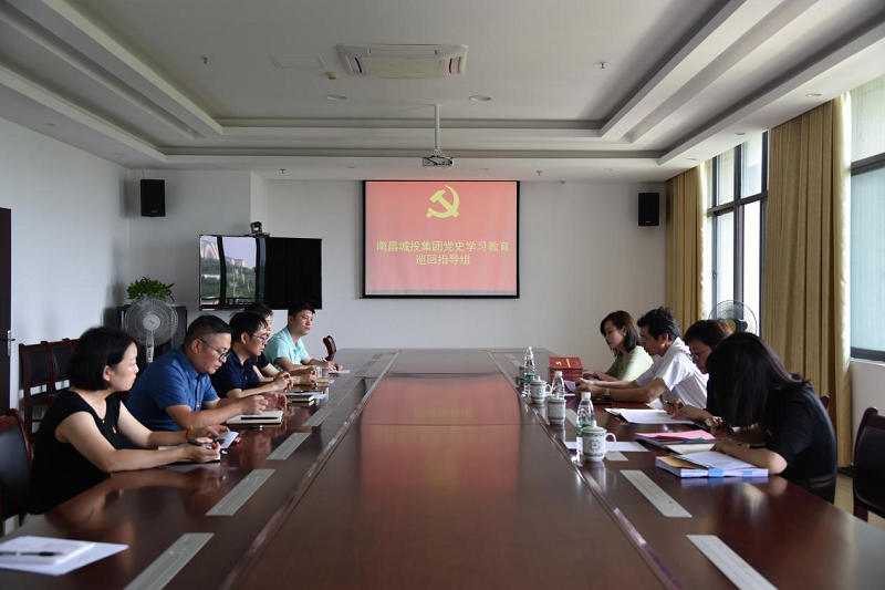 集团公司党史学习教育巡回指导组划分到各下层单位调研督导_拉斯维加斯3133cc